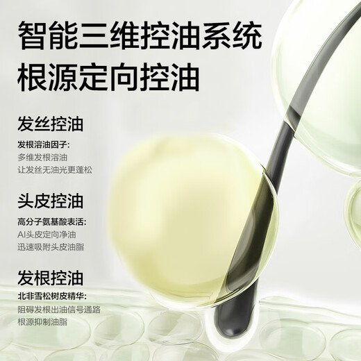 柏缇北非雪松控油蓬松洗发水 清爽去屑止痒留香氨基酸洗发露 505ml 