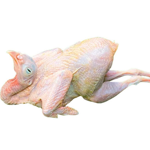 SF Alpine Partridge farm-raised edible dragon bird, pheasant, Huainan nutritious, delicious, steamed and fresh, 2 packs, 7-8 taels each, eviscerated