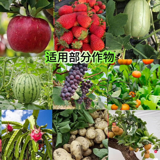 5 Jin Jin equivale a 0,5 kg Abono medio y oligoelementos Calcio Magnesio Azufre Hierro Zinc Boro Cobre Molibdeno Manganeso Cloro Abono foliar hidrosoluble Abono compuesto para frutas y verduras Abono medio oligoelementos 1,5 Jin Jin equivale a 0,5 kg Abono para jardinería