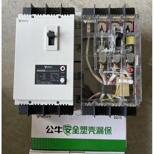 公牛（BULL）公牛BULL空气开关带漏保二相三相电空开开关断路器家用DZ15漏电保 100A 2P