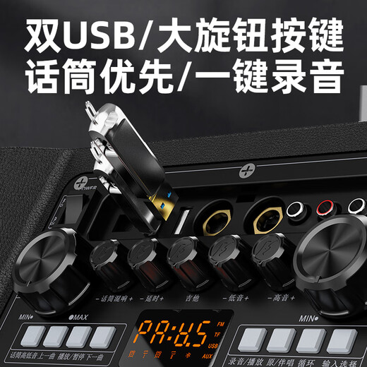 SANSUI outdoor K-song special audio square dance lever audio outdoor performance heavy bass smart wireless microphone 12-inch D12 electric acoustic guitar folk instrument speaker