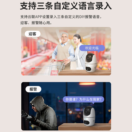 dahua大华无线监控器360度无死角带夜视摄像头家用室内语音双摄1000万全景旋转云台球机DH-H10B-E2
