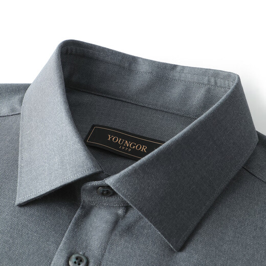 YOUNGOR shirt men's autumn and winter young men's long-sleeved shirt wool blended fabric solid color shirt gray plain VLQW119708DBA 44 (185/108A)