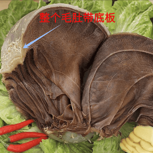 Cowherd Fresh Hairy Tripe Thousand-Floor Tripe Hot Pot Restaurant Maocai Commercial Large Whole Floor Beef Tripe Fresh Beef Louvre Whole Large Large Piece of Tripe 3Jin Jin is equal to 0.5kg