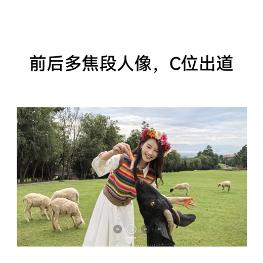 Huawei Nova13pro State Subvention de 500 yuan 15% Nouveau Huawei Full Network Mobile Phone Hongmeng Smart Ai Modification photo Beidou Satellite Picture News Luodengreen 512 Go Configuration standard officielle