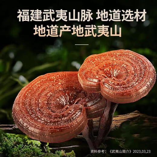 
President's official wall-breaking Ganoderma lucidum spore powder capsules 120 capsules Postoperative nutrition New President's spore powder 2 boxes