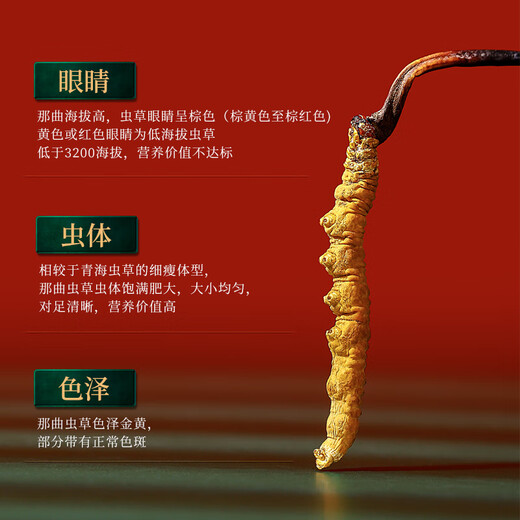 半山农【野生】冬虫夏草5条/克 1克 西藏那曲虫草 送老人滋补品 精选款
