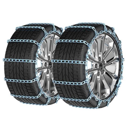Oracle Cheetah CS10/CT7/Q6/C5EV/CS6 Feiyang CT5 Qiling CS9 Automotive Standard Bolding Tires CS9215/55 R18 Standard Bolding Two