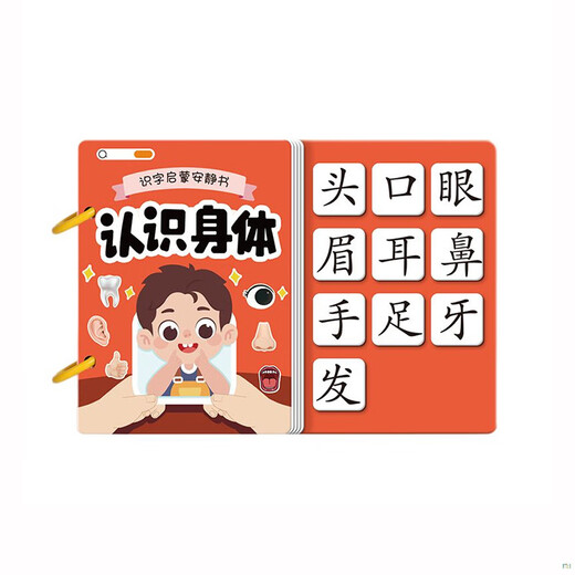 莫肖尔识字早教安静书幼儿3-6岁认字魔术粘贴撕撕书玩具宝宝 【6本套装】身+动+食+自+数+颜色