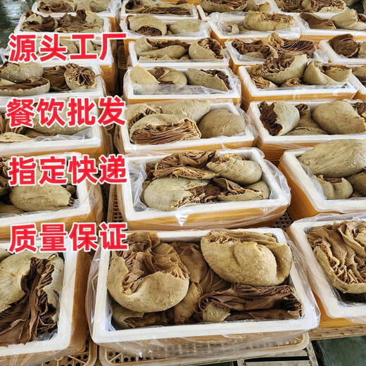 Cowherd Fresh Hairy Tripe Thousand-Floor Tripe Hot Pot Restaurant Maocai Commercial Large Whole Floor Beef Tripe Fresh Beef Louvre Whole Large Large Piece of Tripe 3Jin Jin is equal to 0.5kg
