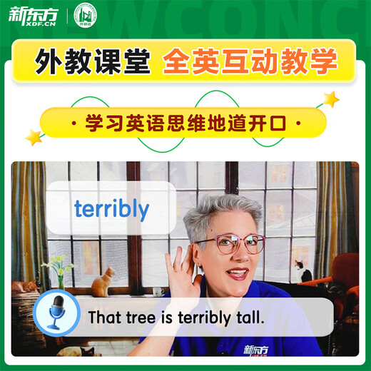 New Oriental New Concept Textbook 1,2 English System Online Class Chinese Teacher + Foreign Teacher + AI Video Class Recording and Broadcasting Class Zero Basic Self-Study 5 Special Courses + 2 Years Begleitendes Learning Camp New Concept 1+2+12 Übungsbücher