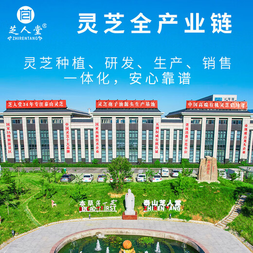 芝人堂（ZHIRENTANG）破壁灵芝孢子粉胶囊0.3g/粒*100粒滋补增强免疫力补品 半年套餐（15盒）