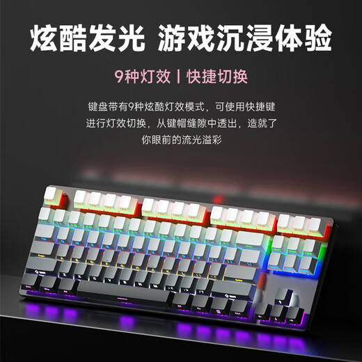 风陵渡 K870侧刻渐变机械键盘有线电竞游戏吃鸡LOL键盘台式家用笔记本打字办公键盘 87键白色【混光】 青轴