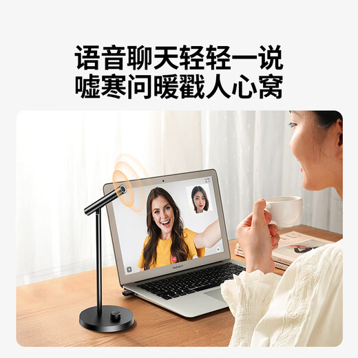 Greenlink USB computer desktop microphone condenser microphone wireless DSP intelligent noise reduction desktop notebook karaoke live online class voice conference suitable speaker 35344