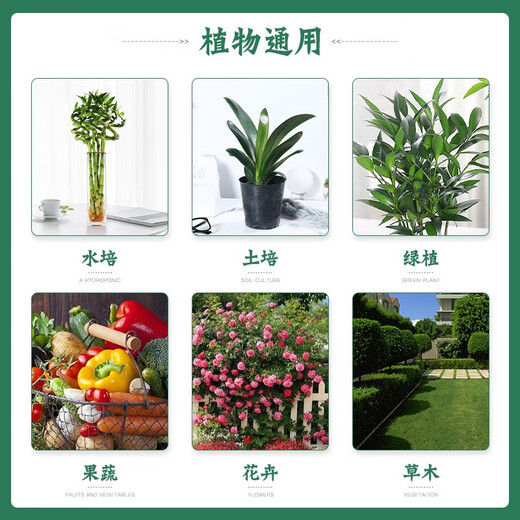 Cuttlefish plant nutrient solution universal 2500ml hydroponic green plant flower fertilizer money tree green radish concentrated liquid fertilizer