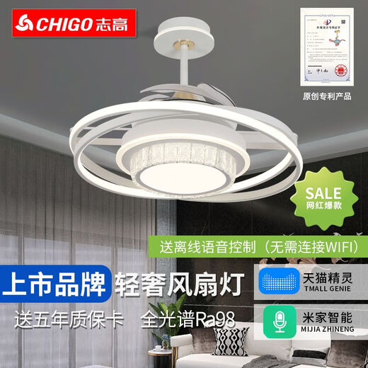 Smart Voice App Light Luxus unsichtbarer Lüfter Licht Schlafzimmer Esszimmer Wohnzimmer Lüfter Licht HP-9758 [Top-Konfiguration] Volles Spektrum RA98 [Smart Model] Elf + Voice +
