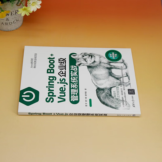 Spring Boot+Vue.js企业级管理系统实战9787302**9793