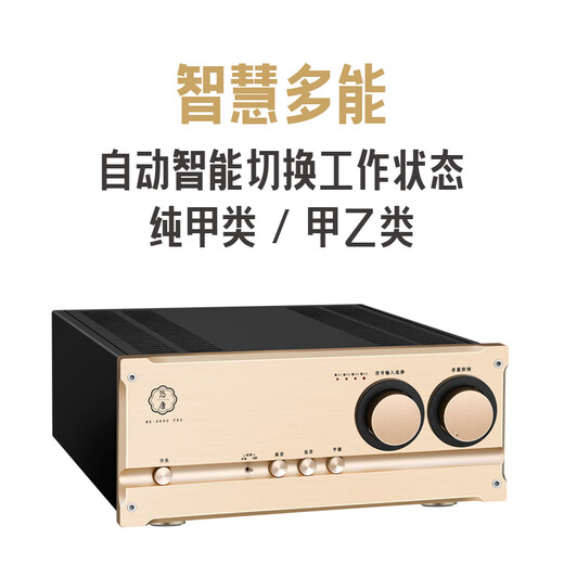 Youtang MK8600Pro-Fieber-Ebene HiFi-Hochleistungsverstärker professioneller Home-Fusion/Heckverstärker mit zwei Mode-Verstärker rein