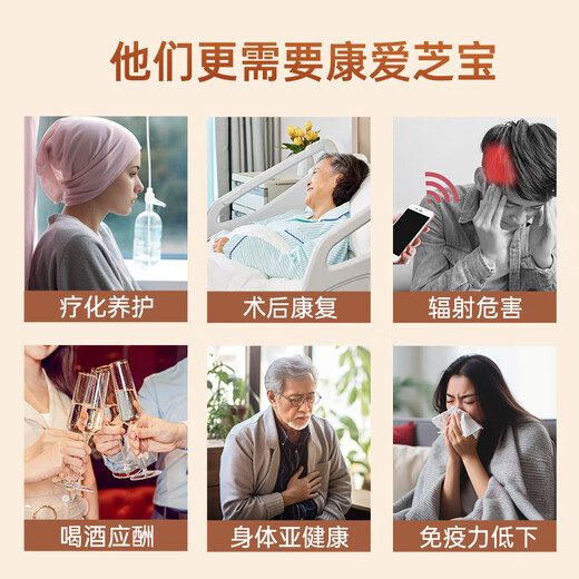 仙芝楼破壁灵芝孢子粉灵芝粉胶囊 探病礼物中老年保健品抗辐防射增免疫 1盒 20g 【水提醇提技术】