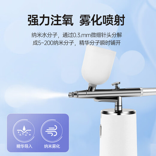 斐驰注氧仪家用便携式纳米喷雾补水仪精华液导入仪高压渗透夏季保湿护肤仪七夕情人节礼物女生生日礼物 白色