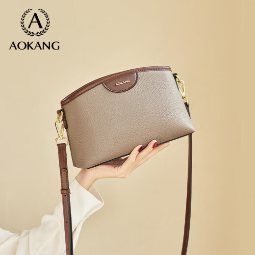 奥康（Aokang）包包女包小方包新款时尚通勤百搭斜跨单肩包生日礼物送女友 大象灰（礼盒款）