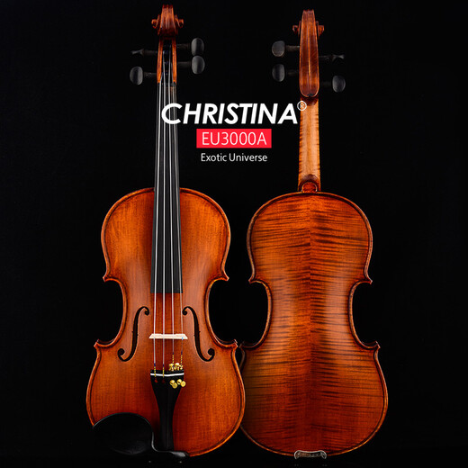 克莉丝蒂娜（Christina）欧洲原装进口小提琴EU3000A演奏手工琴成人学生儿童考级进阶初学 4/4适合身高155cm以上