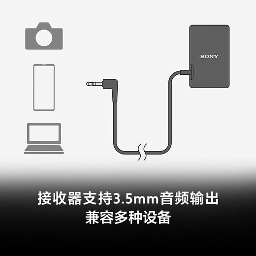 Sony (SONY) ECM-W3 Lavalier Microphone One to Two One to One Digital Audio/Hot Shoe Powered/Noise Reduction Bee Interview Live Vlog ECM-W3S (One to One Lavalier Microphone)