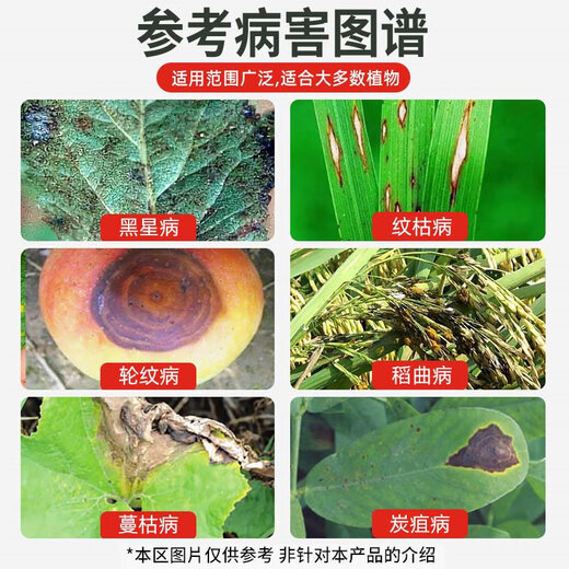 Xinxing 40 % Difenoconazol, Banane, Obstbäume, Gemüse und Blumen, weißes Pulver, Anthrax, Rost, schwarzer Fleck, Blattflecken, Pestizid, Fungizid