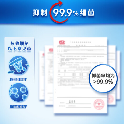 Safeguard Antibacterial Foam Hand Sanitizer Green Apple Scent 300g + Cherry Blossom Scent 300g Healthy Antibacterial 99.9%