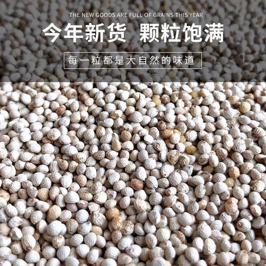 New white perilla large grain perilla seed bird food canary hibiscus bird oriole pearl white swallow jade bird food parrot bird food 100g white perilla seed