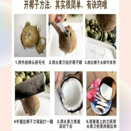 Fresh Friend Ji Hainan Old Coconut Hairy Coconut Black Coconut Emperor (sprouted coconuts are randomly distributed), thick flesh, soup and juiced coconut 4 pieces (single fruit 1 Jin Jin is equal to 0.5 kg and above)