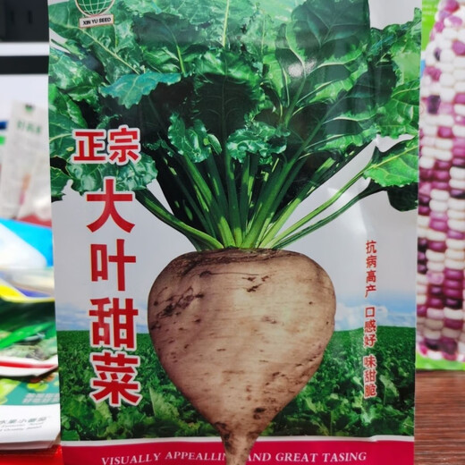 Big-leaf beet seeds, beet seeds, authentic northern vegetable seeds, complete hardcover original factory, big-leaf beet seeds, beet seeds, authentic northern vegetables.