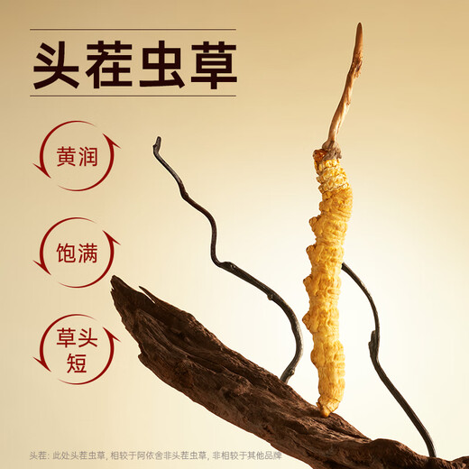 Ayishe First Cordyceps Sinensis Nouveau tonique cordyceps séché pour les cadeaux pour les parents pour les suppléments nutritionnels de vacances Boîte-cadeau haut de gamme 20g 3 bâtons / g [Boîte-cadeau sélectionnée]