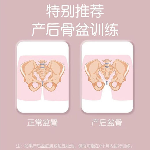 Pelvic floor muscle trainer, beautiful leg tool, yoga, Pilates, postpartum recovery, relief and fitness, special counting model, accurate counting + ten times binding + convenient charging + rotation adjustment, hibiscus purple