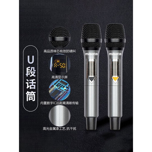万利达（Malata）音响飞天三代M9866户外广场舞移动拉杆K歌大功率音箱 M+9869[15寸喇叭]三分频直播音