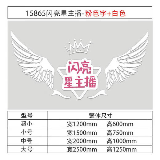 少儿口才教室布置装饰播音乐小主持舞蹈台背景环创表演幼儿园墙面 15865闪亮星主播-白色+粉色字 超小