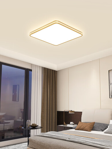 Op Yuanxing LED ceiling lighting modern simple and atmospheric living room headlights master bedroom lighting fixtures aisle entrance balcony if there are other colors please ask customer service