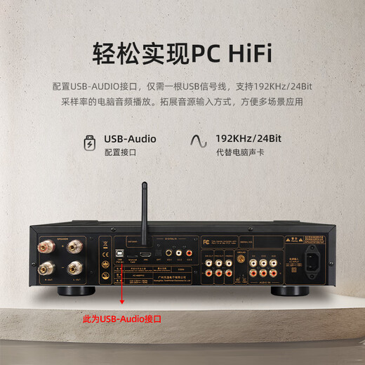 Tianyi (Winner) AD-66DPRO super class A integrated all-in-one digital amplifier high-power fever-grade home high-fidelity hifi amplifier audio set AD-66DPRO (JD Logistics Direct)