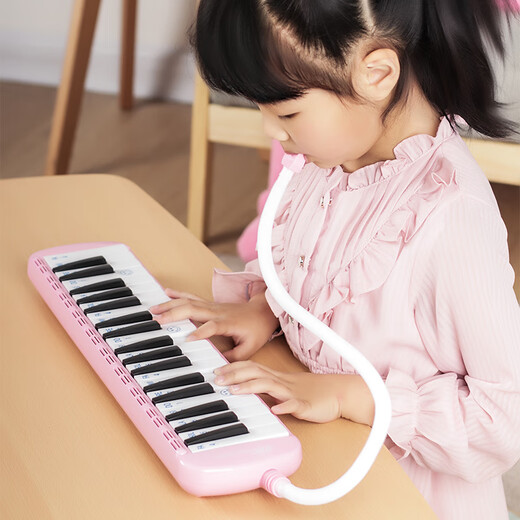 杉贝嘉德瑞口风琴37键32键小学生用初学者课堂教学幼儿童口吹管乐器 37键 黑硬包吹嘴吹管+资料+竖笛