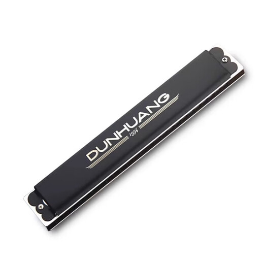 Oriental Ding Dunhuang 24-hole monophonic harmonica 12-tune beginner adult single hole single row professional playing harmonica matte black C-tune
