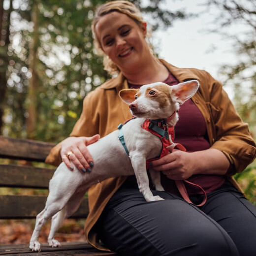 Lovewell Hi-Light Dog Harness Dog Harness Small and Medium-sized Dog Schnauzer Harness-Type Dog Leash Sage Green/Misty Green XS