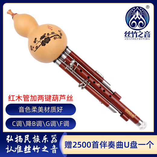 丝竹之音七孔葫芦丝加两键c调降b调f调g调专业演奏型成人黑檀木红木管乐器 红木管加键【 C调】+8赠品