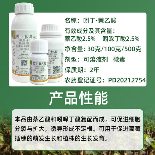 Donghe Biotech 5% Indolebutyric Acid Naphthalene Acetic Acid Rooting and Seedling Strengthening Agent Plant Universal Transplanting Rooting Water Cutting Rooting Powder 100g