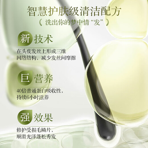 Lafang Nutricional Soft Series Soft Shampoo Refrescing Oil Control 500G Lightweight and Fushing Scalpe para hombres y mujeres