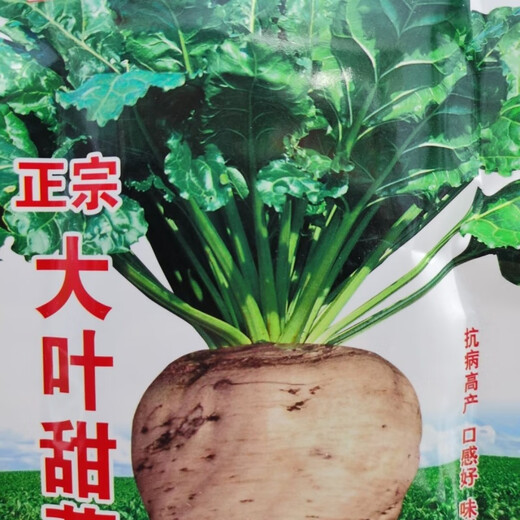 Big-leaf beet seeds, beet seeds, authentic northern vegetable seeds, complete hardcover original factory, big-leaf beet seeds, beet seeds, authentic northern vegetables.