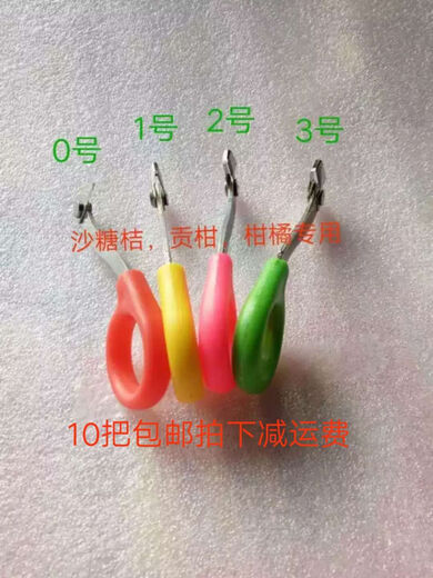 Special knife for girdling lychees, pruning fruit trees, citrus, oranges and grapes for novice peelers, No. 1 girdling knives, 100 pieces