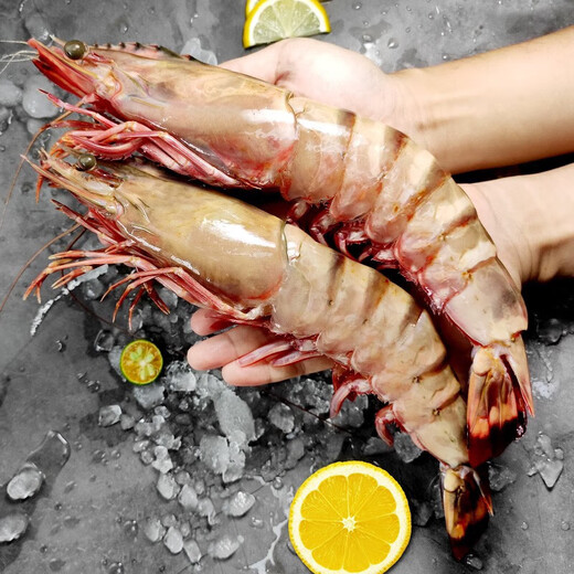 4 prawns with long red claws, net weight 1.2 Jin, equal to 0.5 kg, prawn New Year gift box + 1 Jin, equal to 0.5 kg, Yanhao cooked frozen Arctic sweet shrimps