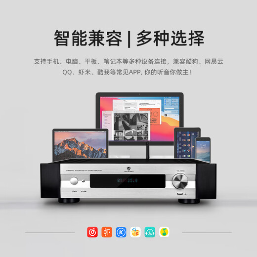 Tianyi (Winner) AD-66DPRO super class A integrated all-in-one digital amplifier high-power fever-grade home high-fidelity hifi amplifier audio set AD-66DPRO (JD Logistics Direct)