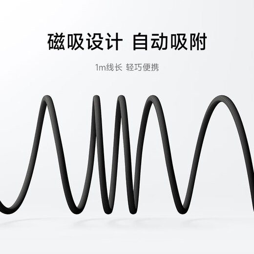 Xiaomi 6A Magnetic Braided Fast Charging Data Cable 1m (USB-C to USB-C) Dark Gold