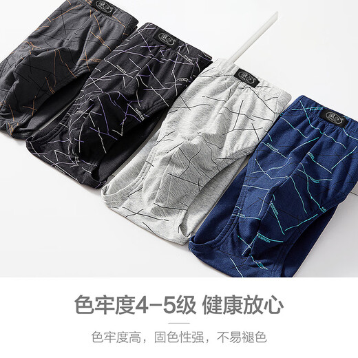 Langsha underwear men's pure cotton triangle 4 pairs 7A grade antibacterial men's comfortable breathable briefs shorts